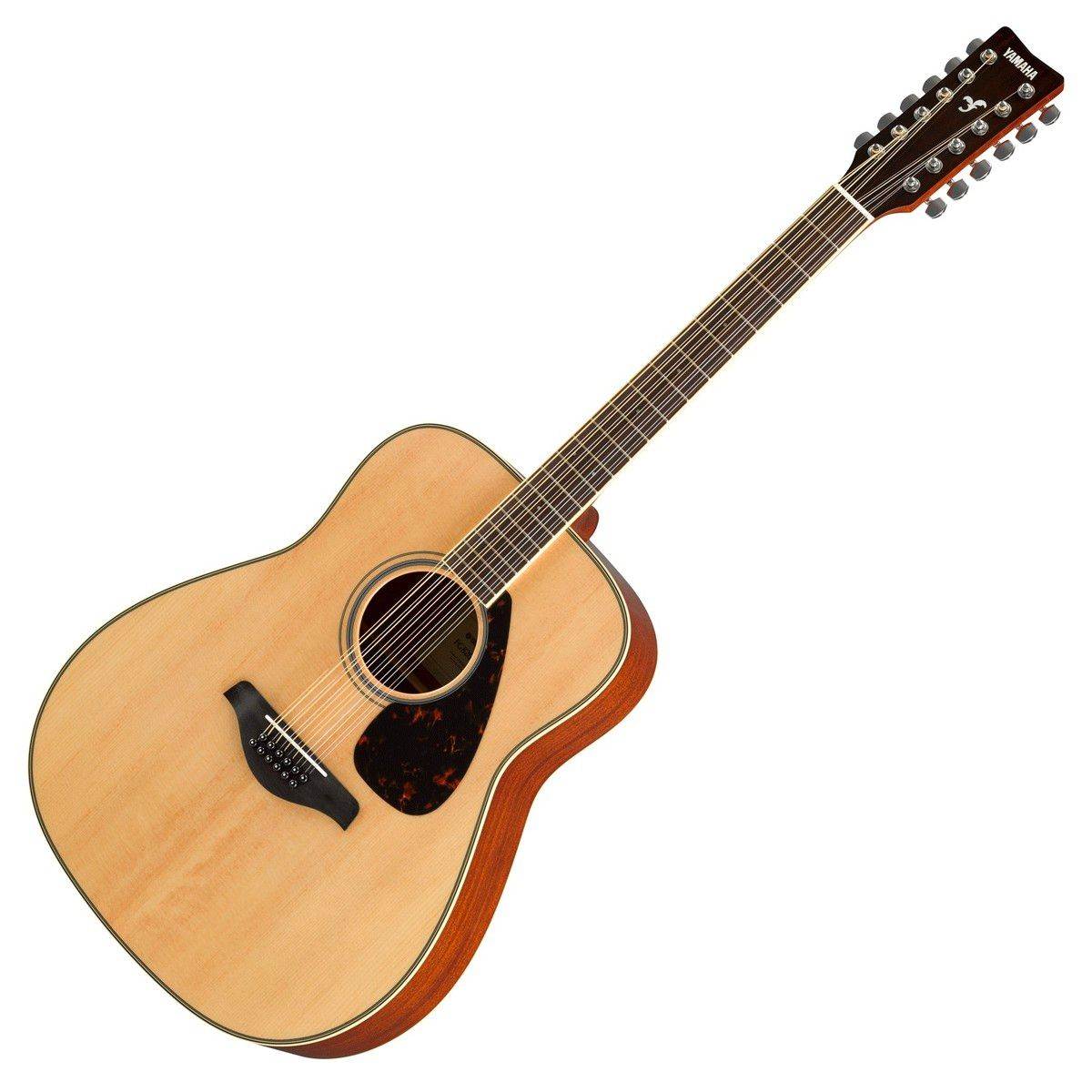 Chitarra acustica 12 corde
