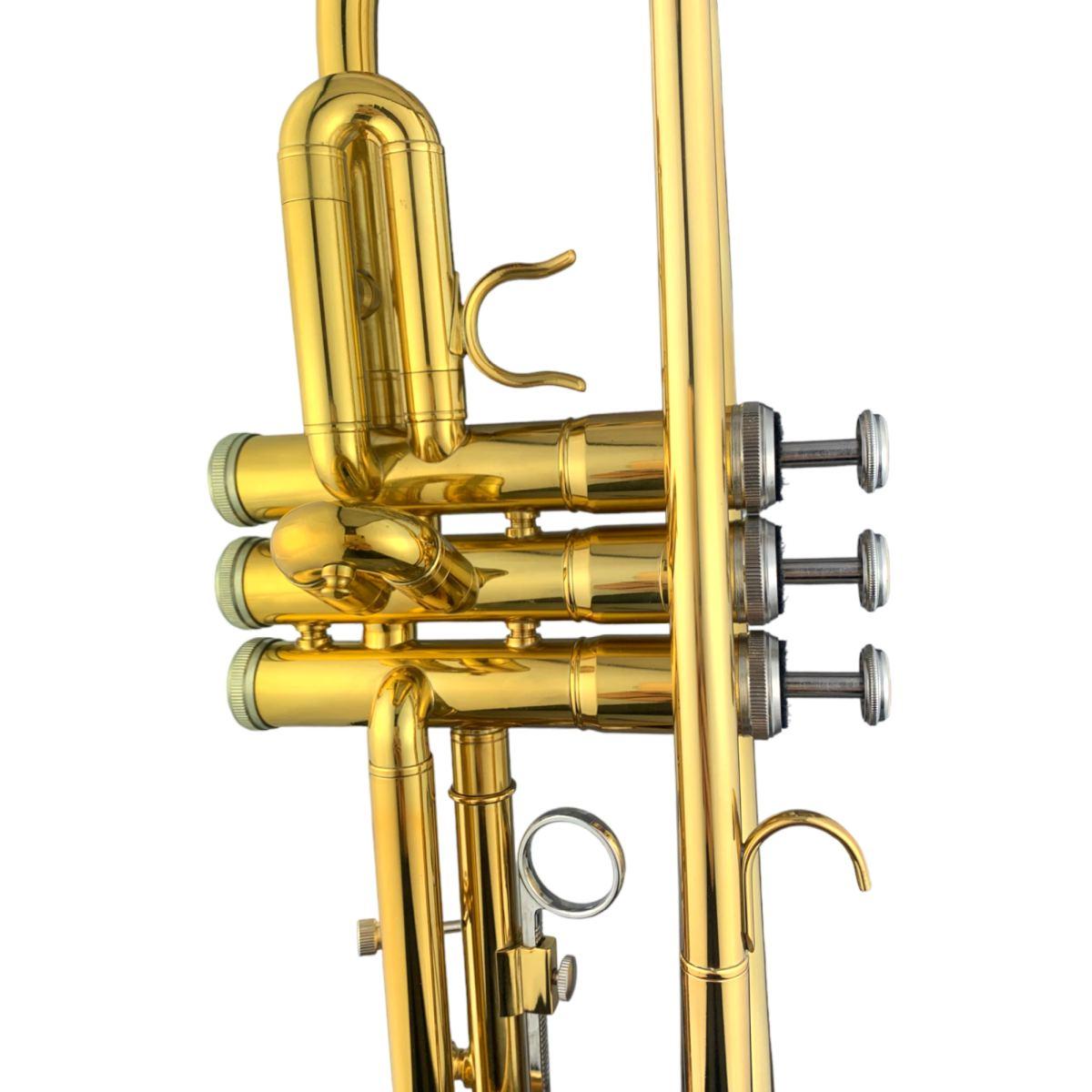 Cigalini tr-st tromba serie studio laccata