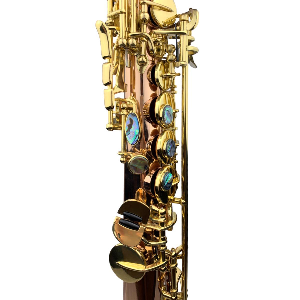 Cigalini sax soprano serie smart