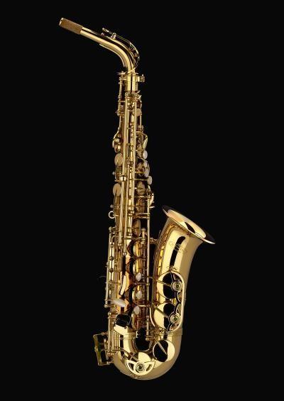 Schagerl  a900l  academica sax alto