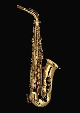 Schagerl  a900l  academica sax alto
