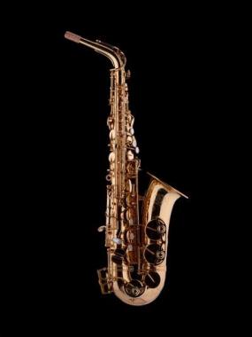 Schagerl a2l superior pro sax alto