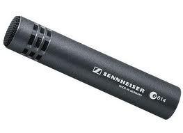Sennheiser e614