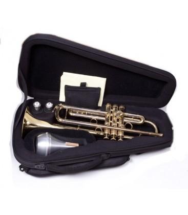 Bags basic custodia blu per tromba