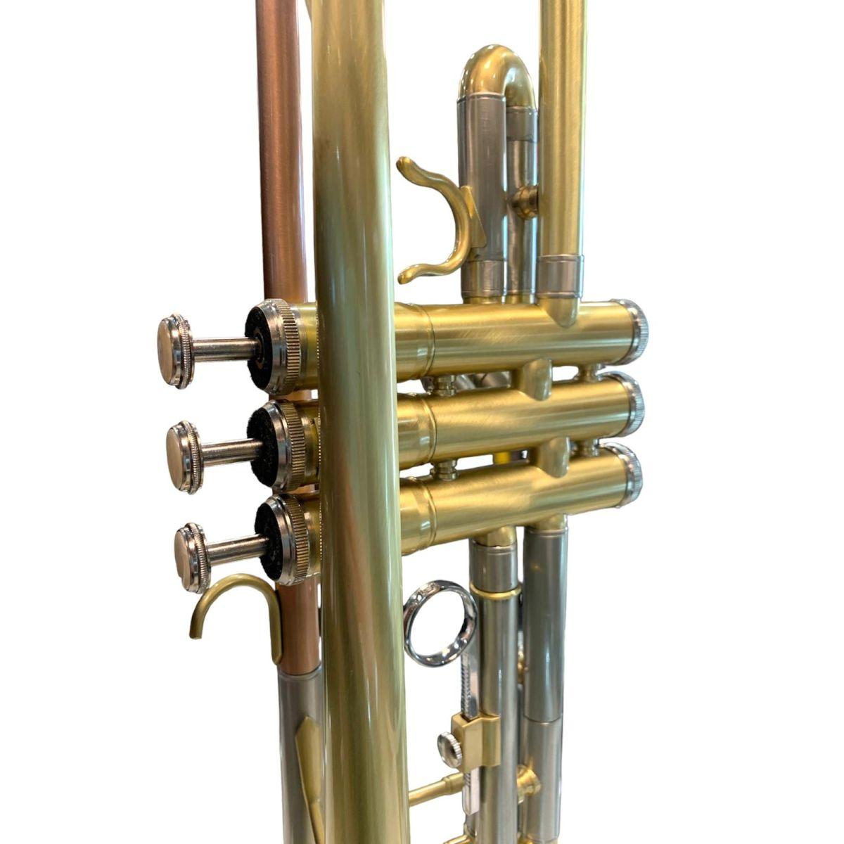 Cigalini tromba serie smart - satinata