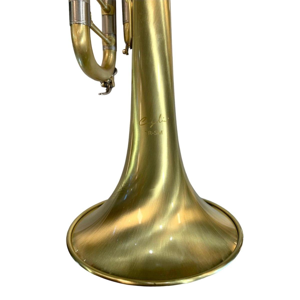 Cigalini tromba serie smart - satinata