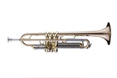 Schagerl TR600S  ACADEMICA Tromba in Sib