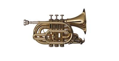 Schagerl PT200L ACADEMICA Tromba Pocket in Sib