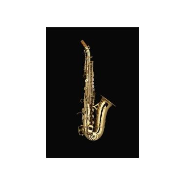 Schagerl S600L ACADEMICA Sax Soprano