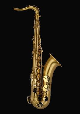 Schagerl T900ML  ACADEMICA Sax Tenore