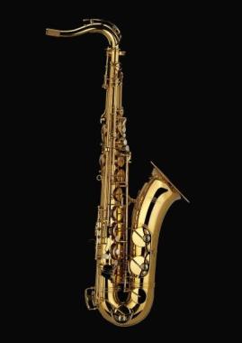 Schagerl T900L  ACADEMICA Sax Tenore