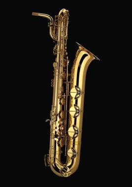 Schagerl B500L  ACADEMICA Sax Baritono