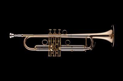 SCHAGERL J. MORRISON JM1X-L SIGNATURE Trombe sib canneggio Large
