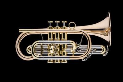 SCHAGERL HANS GANSCH SIGNATURE Cornetta Sib laccata