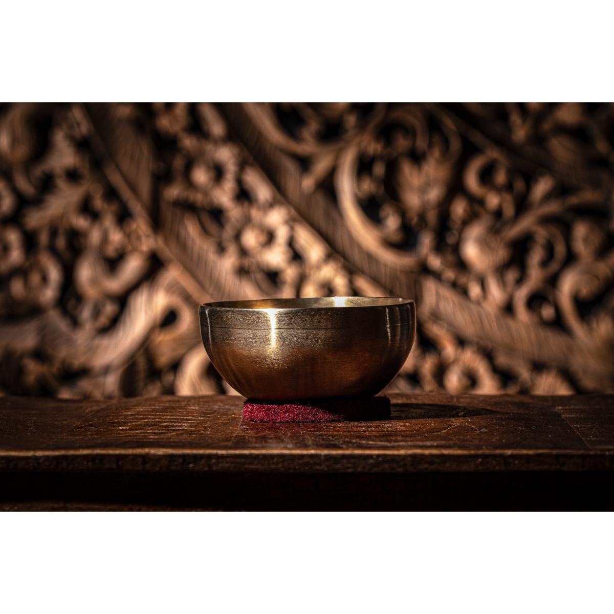 Sonic energy sb-u-400 campana tibetana universal 400 g