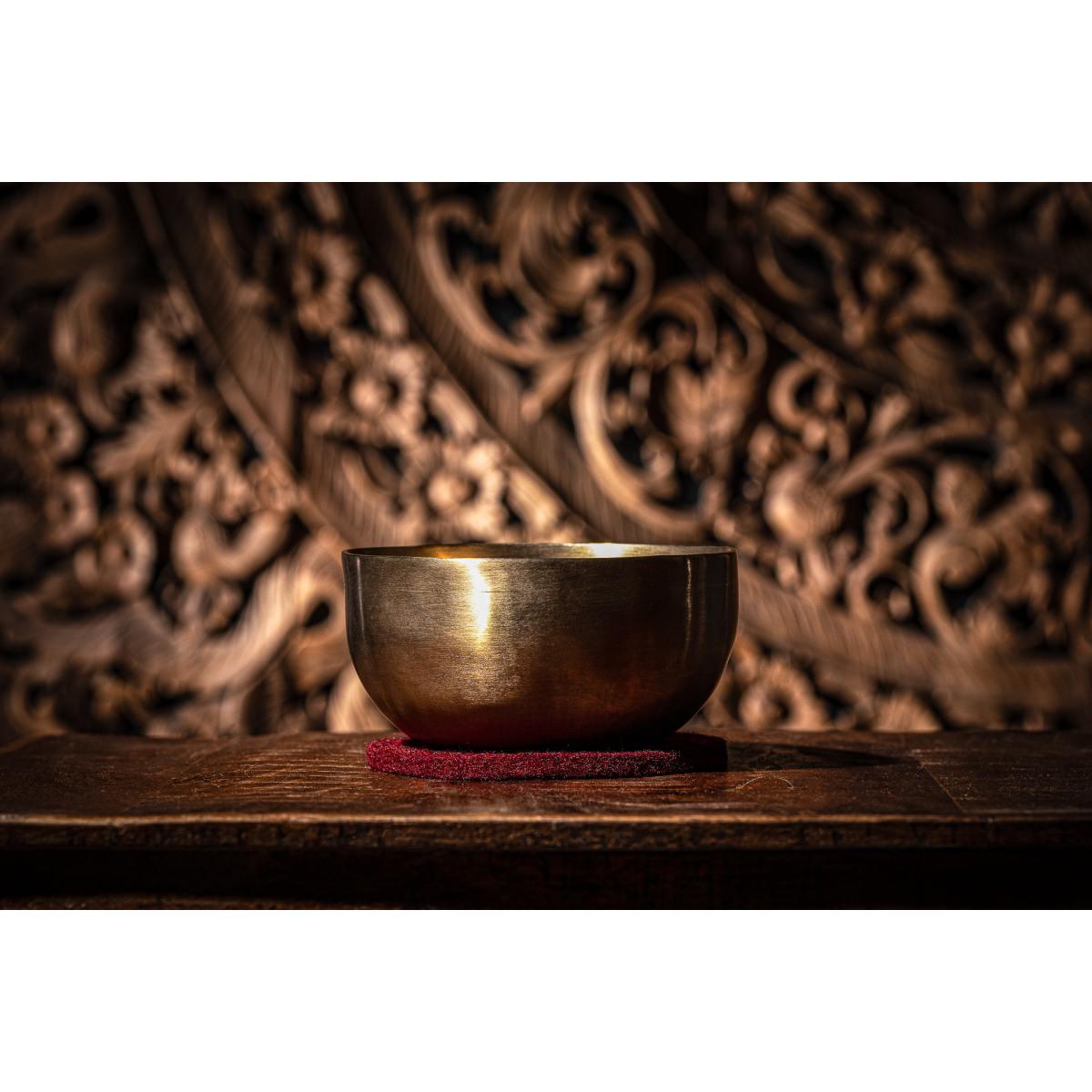 Sonic energy sb-u-600 campana tibetana universal 600 g