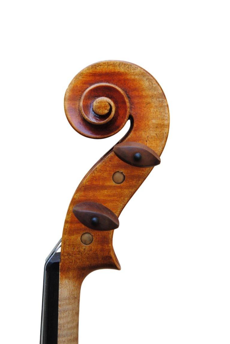 Edgar russ viola linea macchi