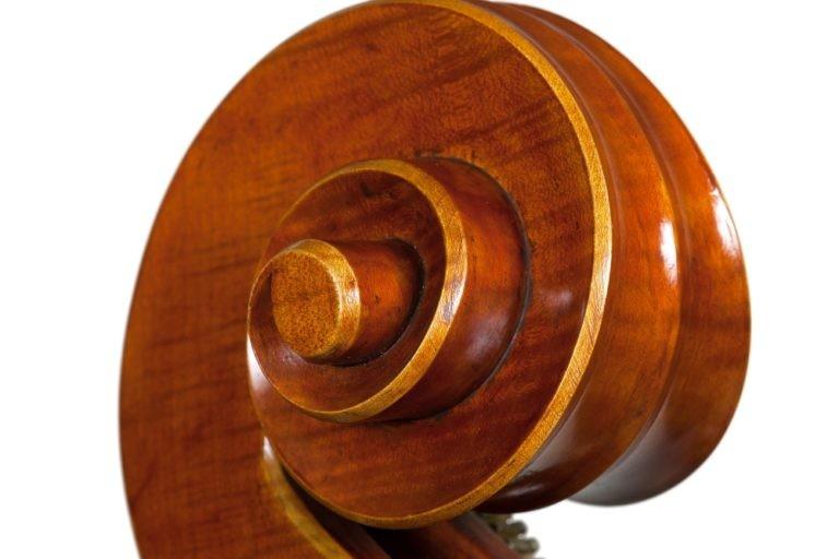 Edgar russ contrabbasso linea macchi