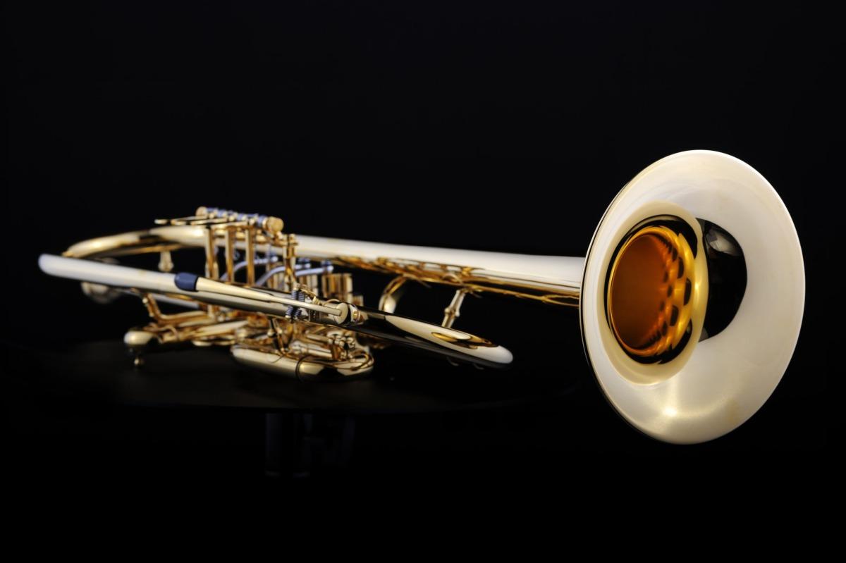 SCHAGERL HANS GANSCH HEAVY MEISTER tromba in sib - raw