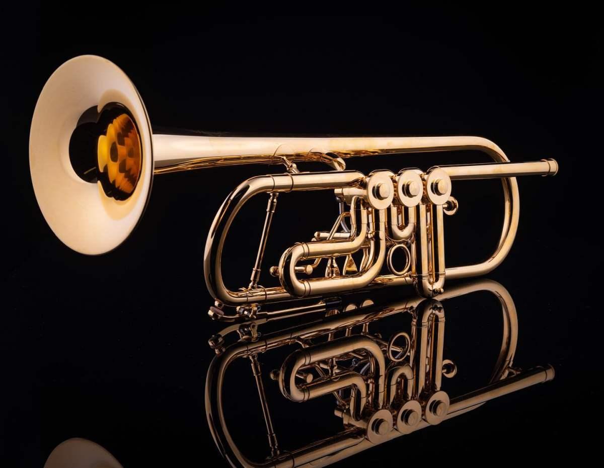 SCHAGERL HANS GANSCH MEISTER tromba in sib raw finish