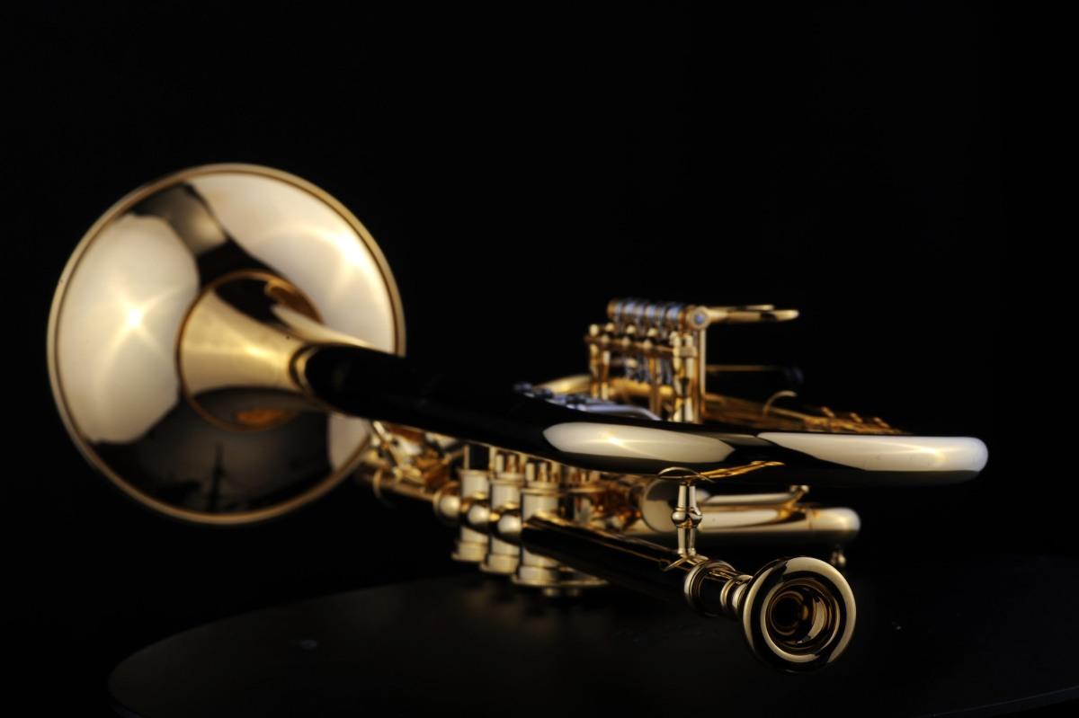 SCHAGERL HANS GANSCH MEISTER tromba in sib raw finish