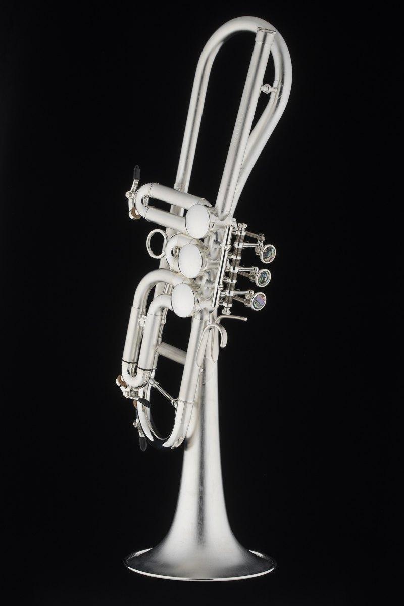 SCHAGERL Gansch Horn Goldbrass Light ML MEISTER SILVER