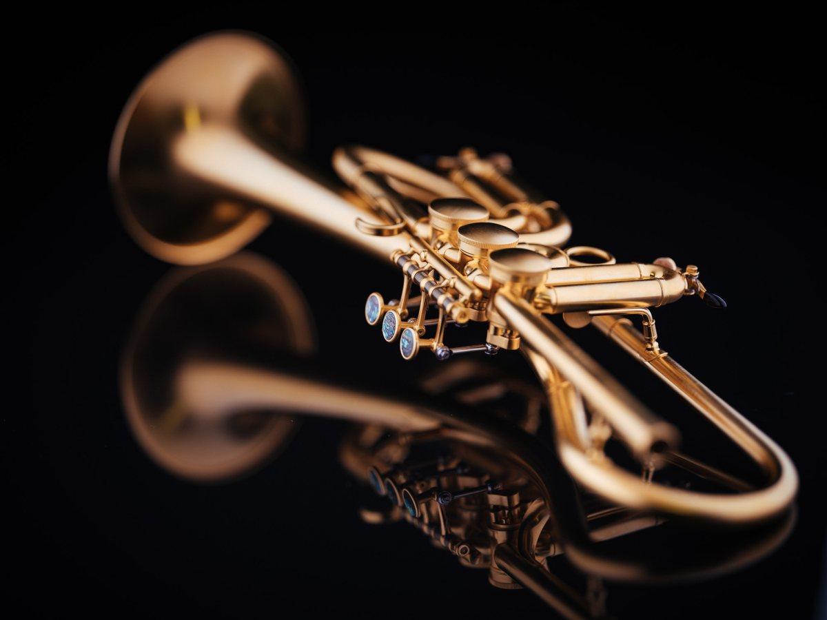 SCHAGERL Gansch Horn Goldbrass Light ML MEISTER SILVER