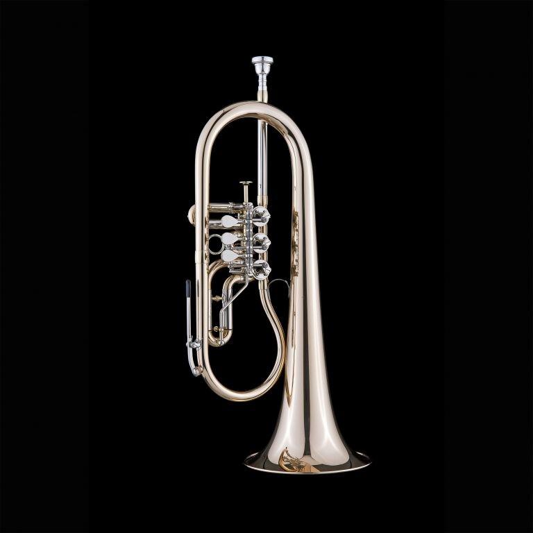 SCHAGERL HANS GANSCH Flicorno Sib - Raw