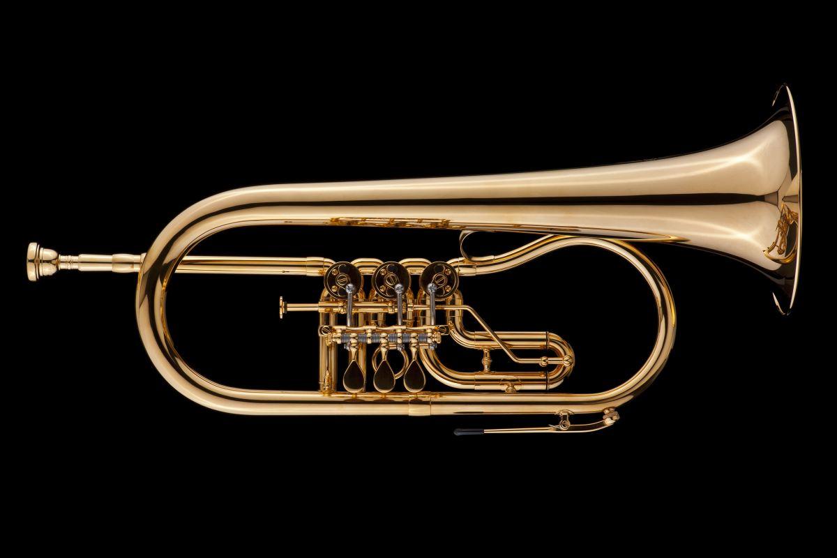 SCHAGERL HANS GANSCH Flicorno Sib - Raw