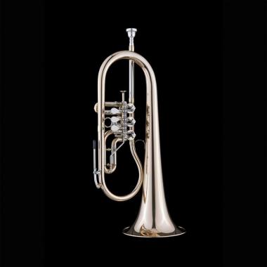 SCHAGERL HANS GANSCH Flicorno Sib - Raw