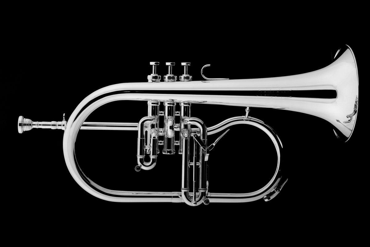 SCHAGERL  AGLAEA MEISTER Flicorno Bb - raw