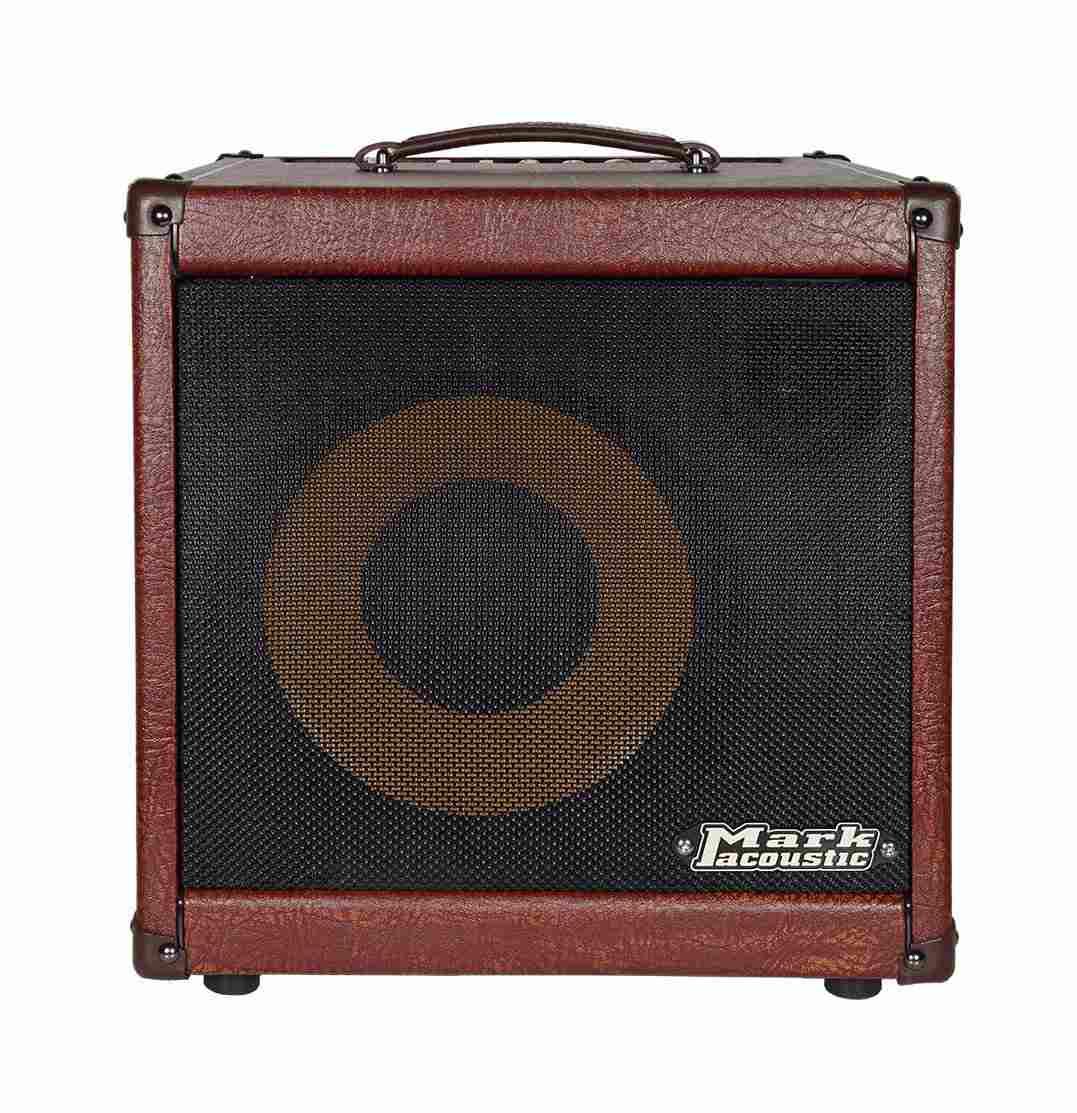 Dv mark ac101h combo per chitarra