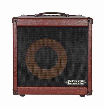 Dv mark ac101h combo per chitarra