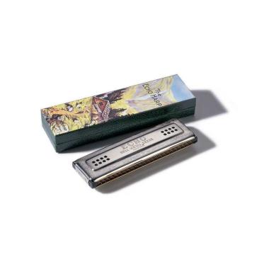 Hohner echo 2x48 cg armonica tremolo richter in do/sol