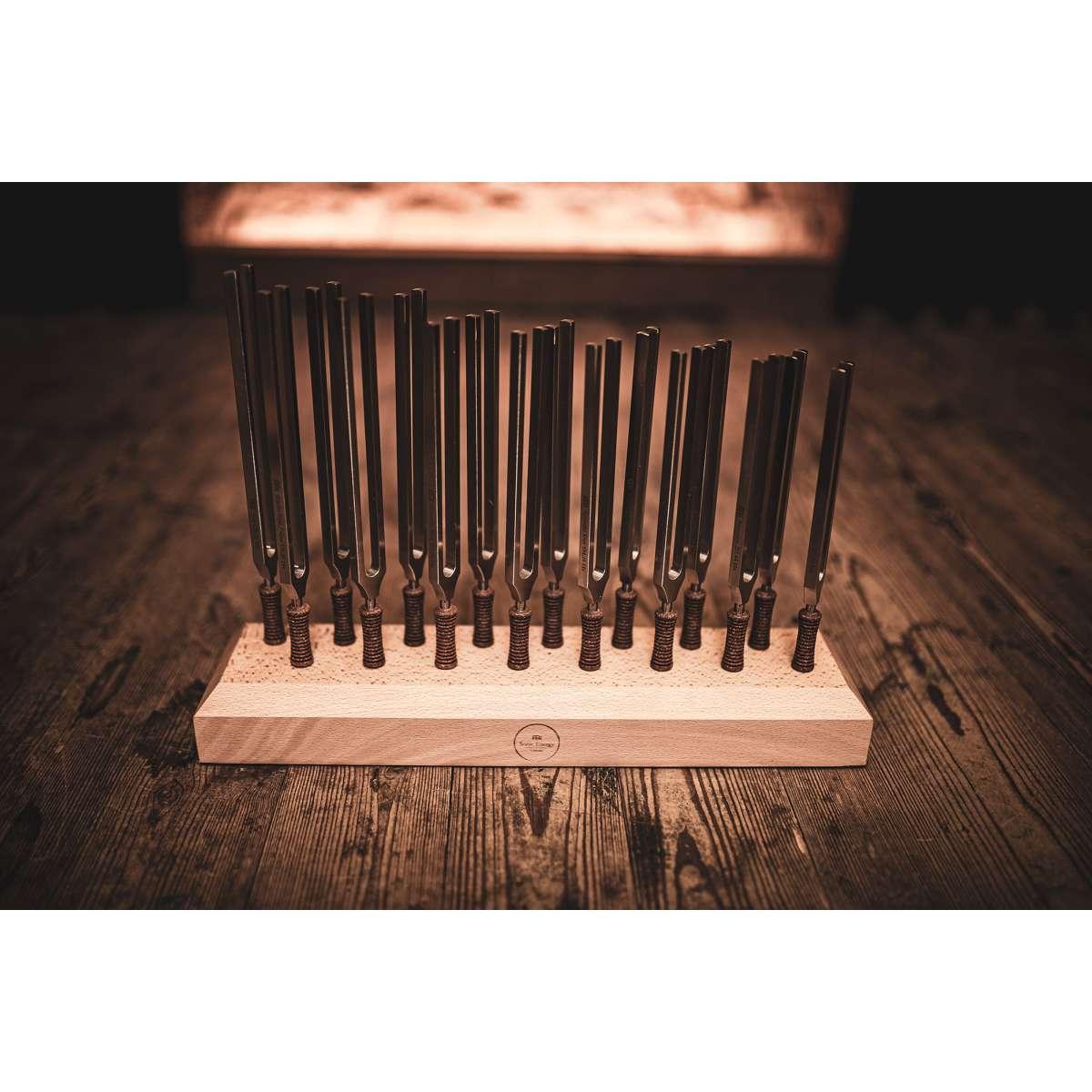 Sonic energy ttf-set-16 set di diapason per terapia planetaria da 16 pezzi incl. supporto