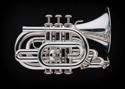 Schagerl pt-200s academica pocket sib