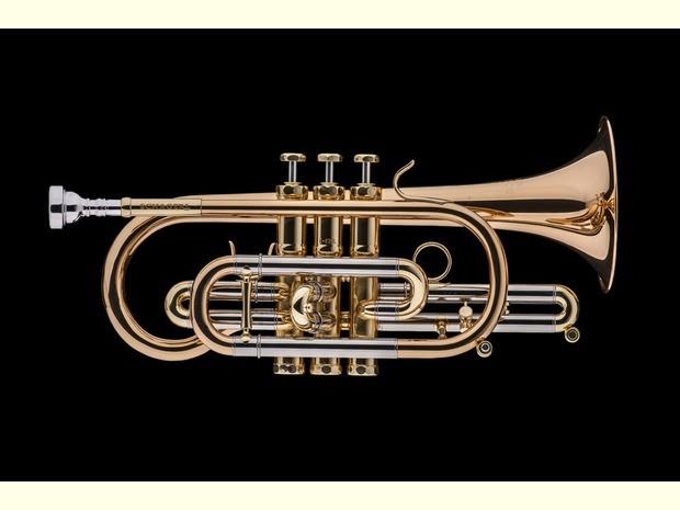 Schagerl k620l  academica cornetta goldbrass