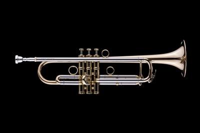 SCHAGERL JM2L  JAMES MORRISON SIGNATURE TROMBA IN Sib