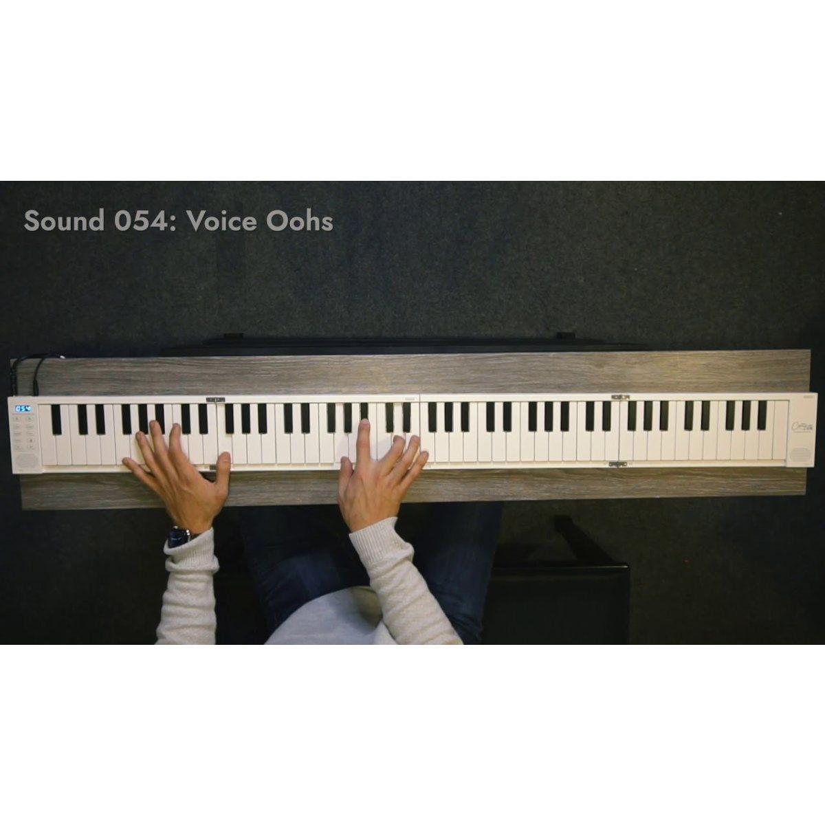 Carry on tastiera pieghevole 88 tasti