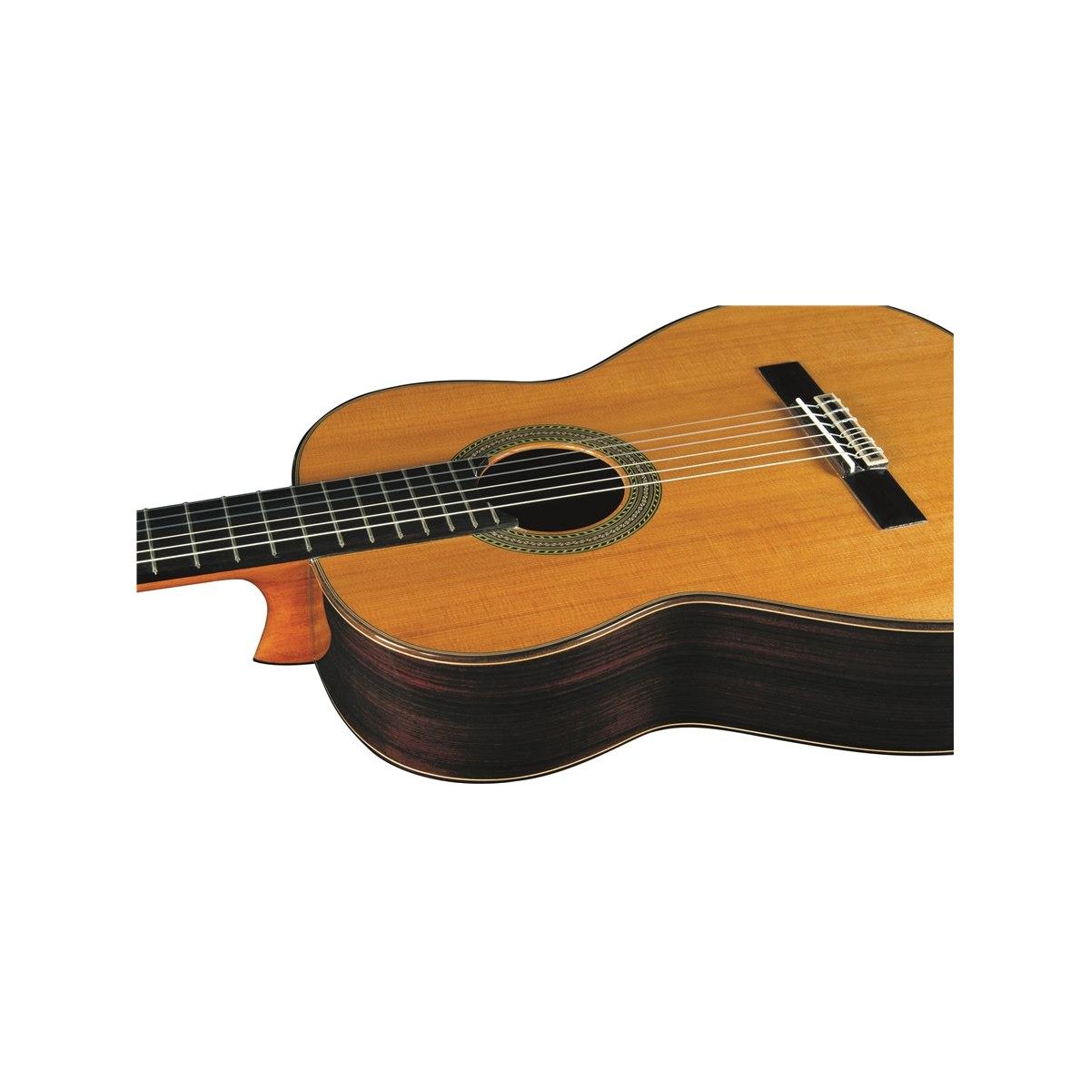 EKO GUITARS Vibra 500 Mario Gangi