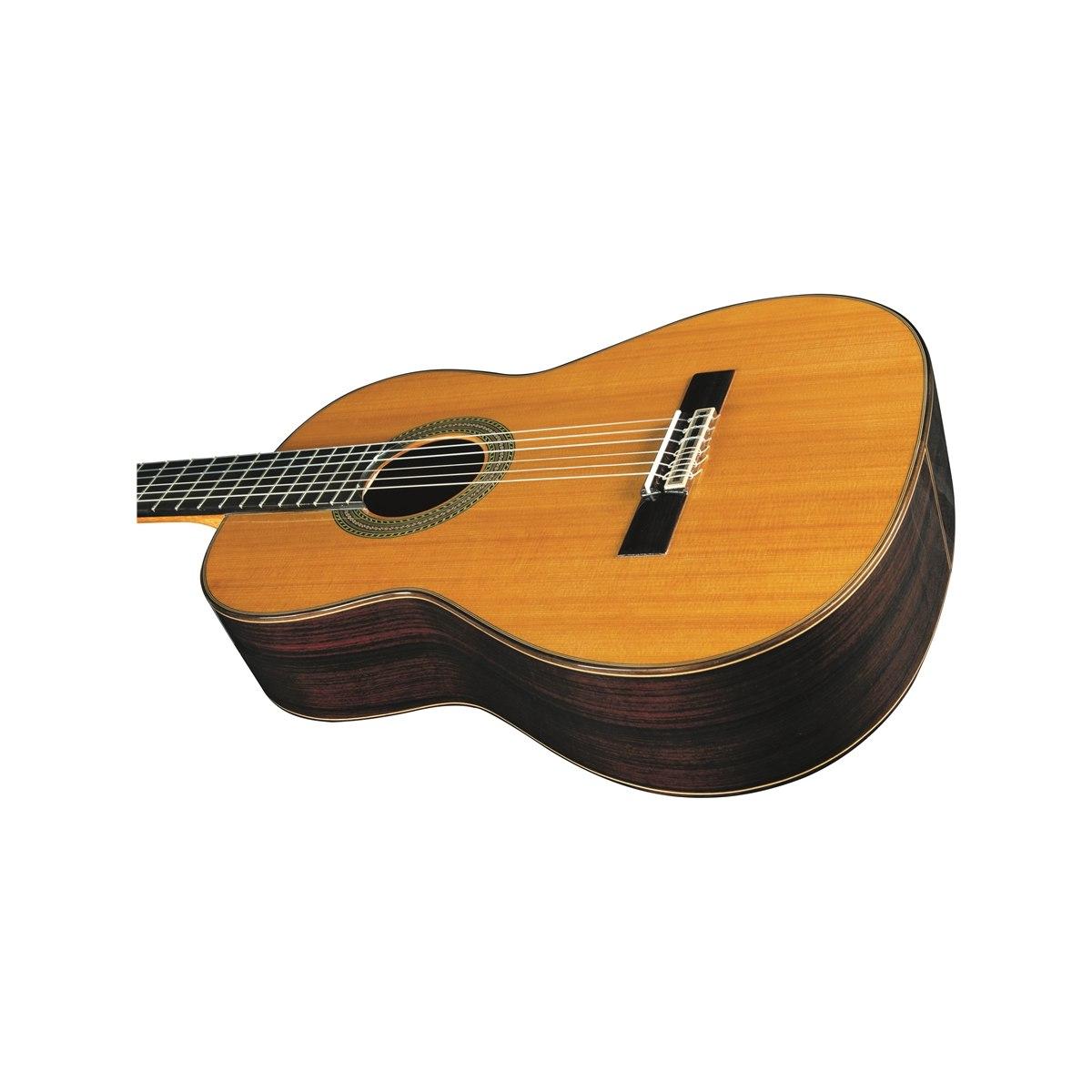 EKO GUITARS Vibra 500 Mario Gangi