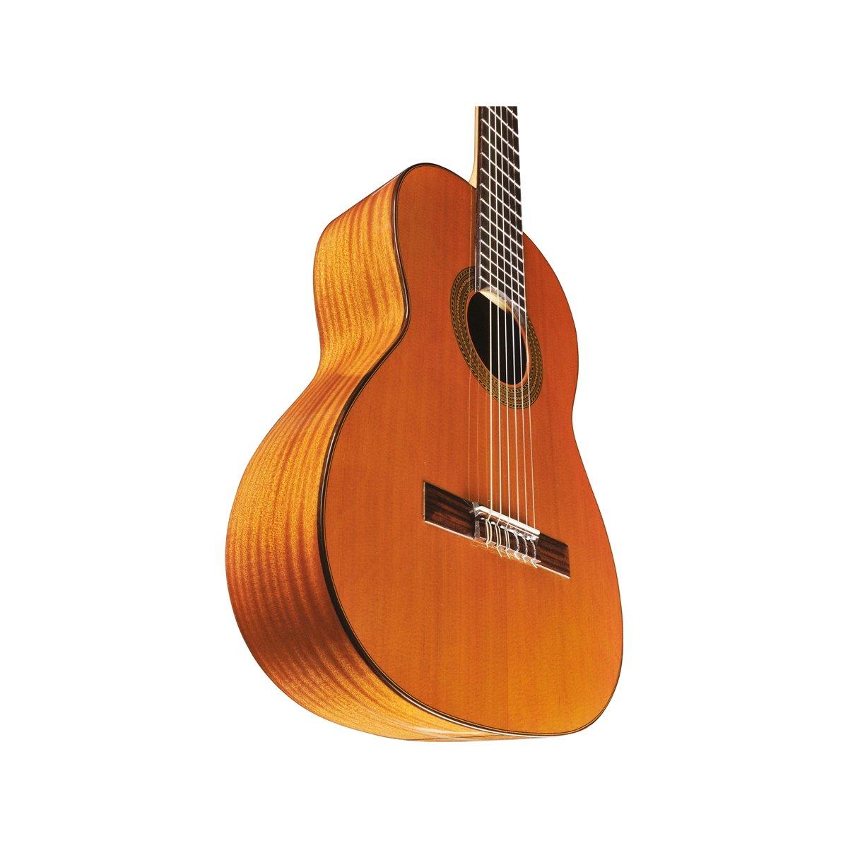 EKO GUITARS Vibra 300 Natural