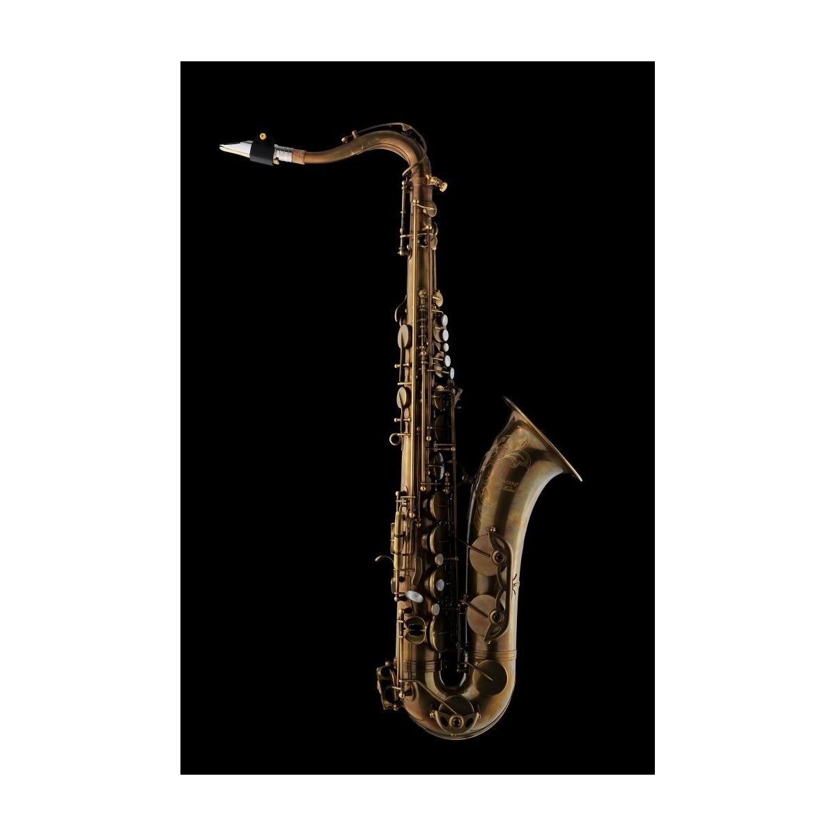 Schagerl 66fl-ec model 66 sax tenore