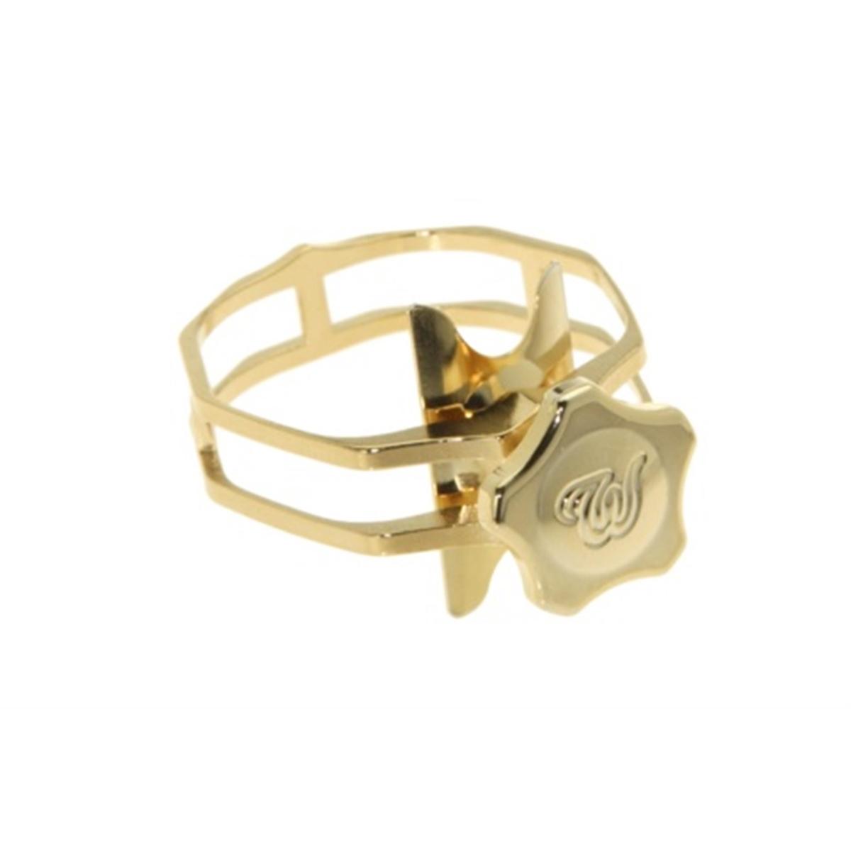 Theo wanne enlightened xl legatura per sax soprano