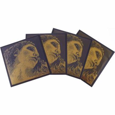 Evah pirazzi gold 415091 set di corde per violino 4/4 mi con pallino