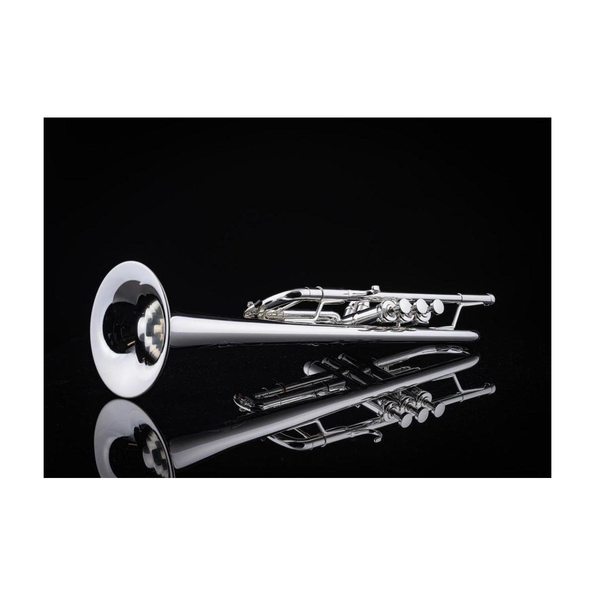 Schagerl 1961 L Meister Tromba in DO Reverse campana Yellow Brass finitura RAW