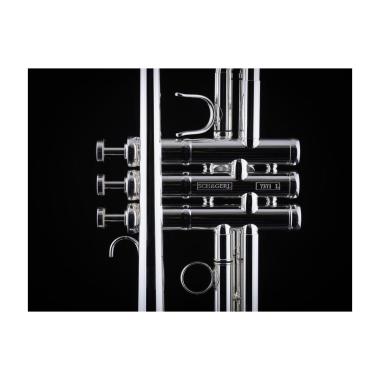 Schagerl 1961 L Meister Tromba in DO Reverse campana Yellow Brass finitura RAW