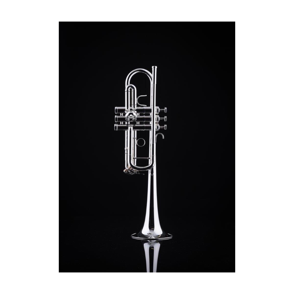 SCHAGERL 1961 ML YELLOBRASS 2021 TROMBA IN Bb ARGENTATA