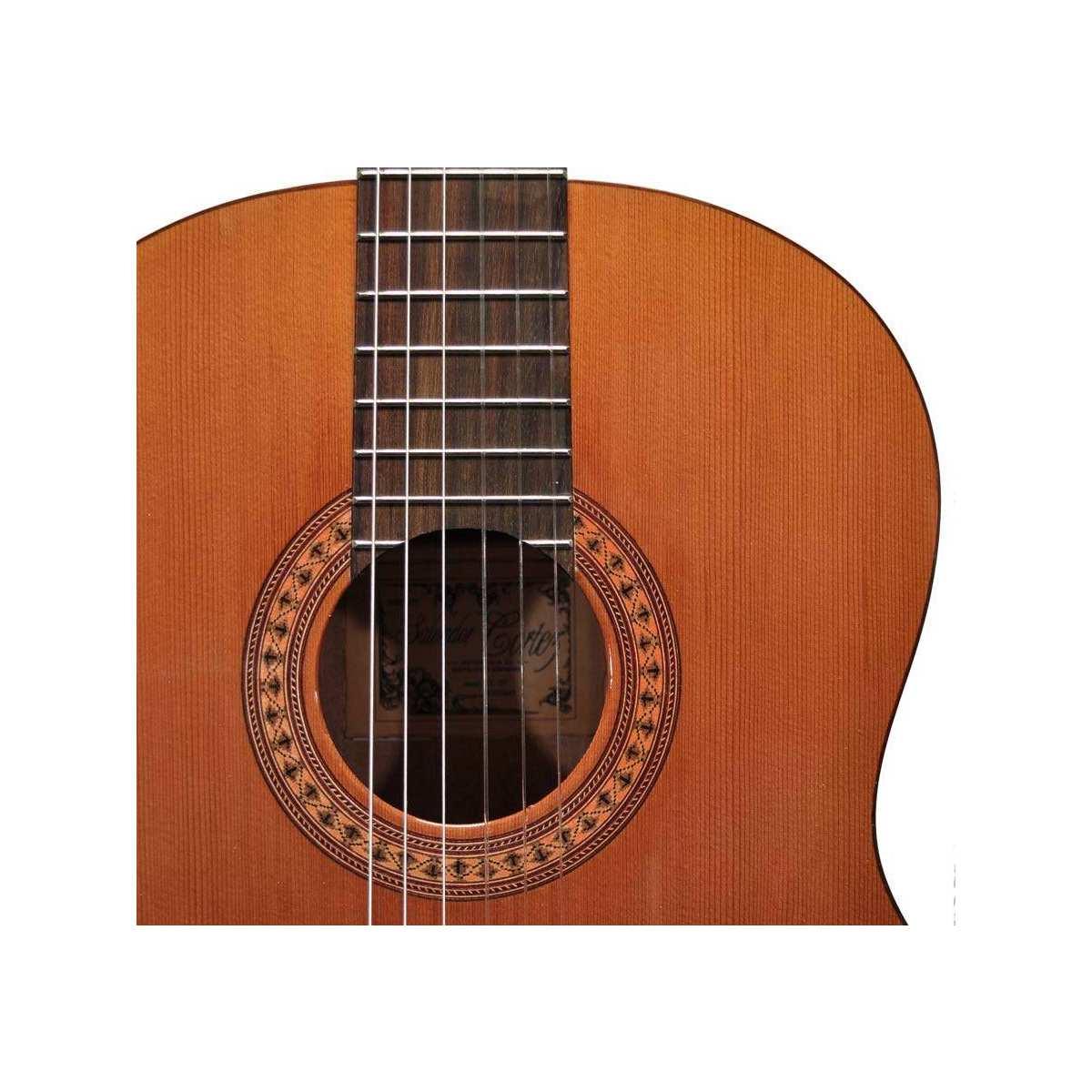 Salvador cortez cc22jr chitarra classica 3/4