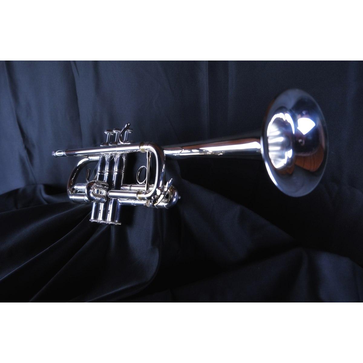 BBRASS PGD21GS TROMBA in DO argentata campana in Gold Brass
